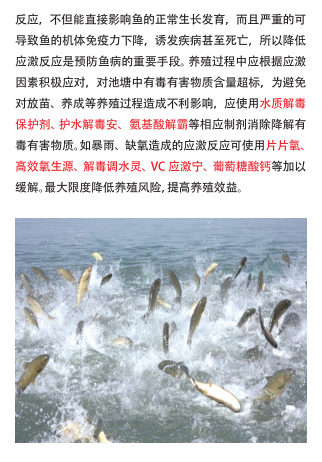 QQ截图20161212155851