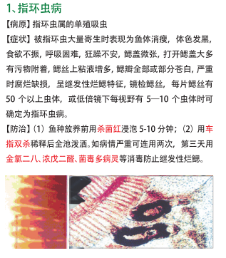 QQ截图20161212155913