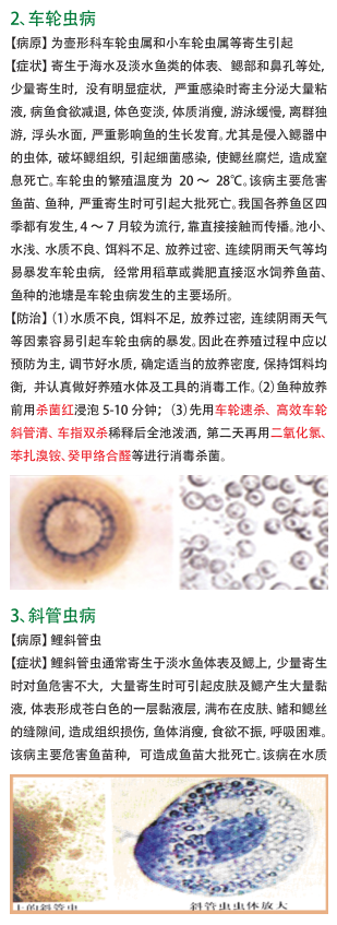 QQ截图20161212155926