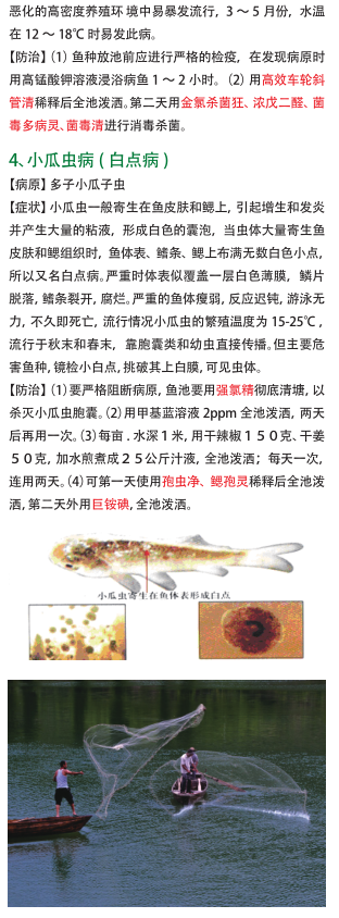 QQ截图20161212155931