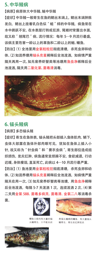 QQ截图20161212155939