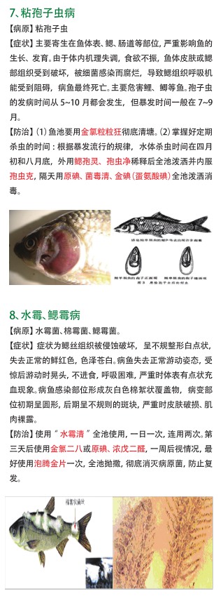 QQ截图20161212155944