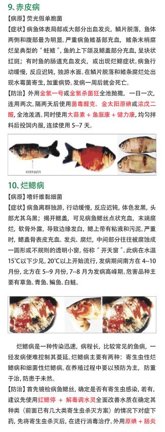 QQ截图20161212155952