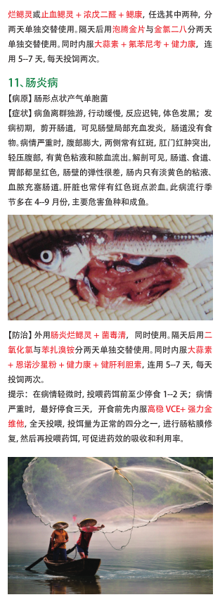 QQ截图20161212155956