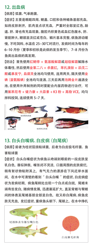 QQ截图20161212160005