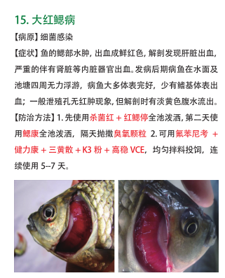 QQ截图20161212160018