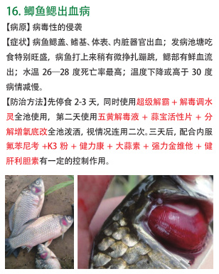 QQ截图20161212160021